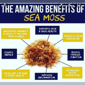 Kals Sea Moss